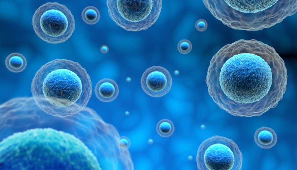 Microscopic cells illustrating regenerative therapy