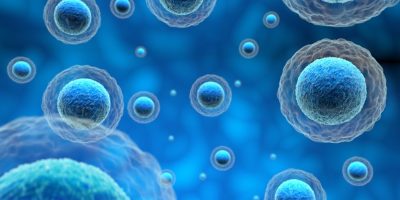 Microscopic cells illustrating regenerative therapy